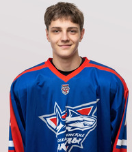 Велимир МИНАЧЕВ