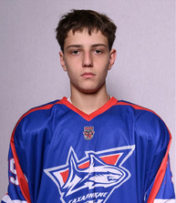 Велимир МИНАЧЕВ